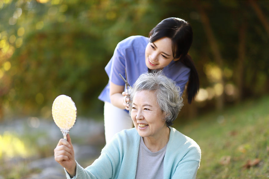 Homemakers, Companions